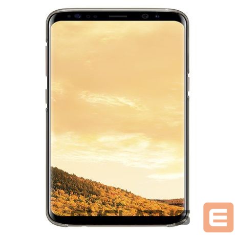 Back panel cover Samsung QG955CFE Clear Cover for Galalxy S8+ G955 Gold