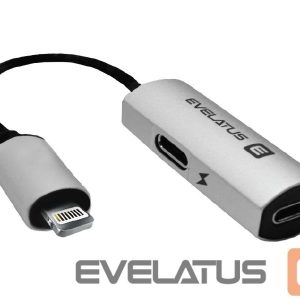 Converter Evelatus  Lightning to Lightning-x2 V02 bulk package