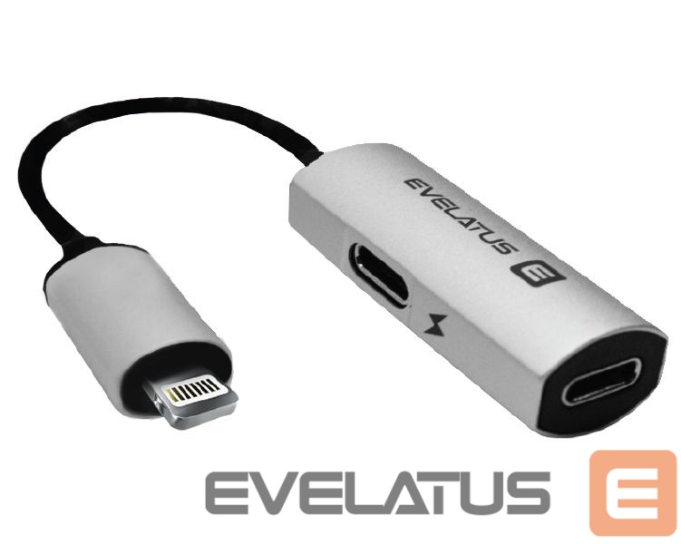 Converter Evelatus Lightning to Lightning-x2 V02 bulk package