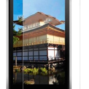 Protective glass Evelatus Blackview BV8000 Pro