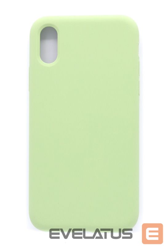 Back panel cover Evelatus Apple iPhone XR Premium Soft Touch Silicone Case Mint Green