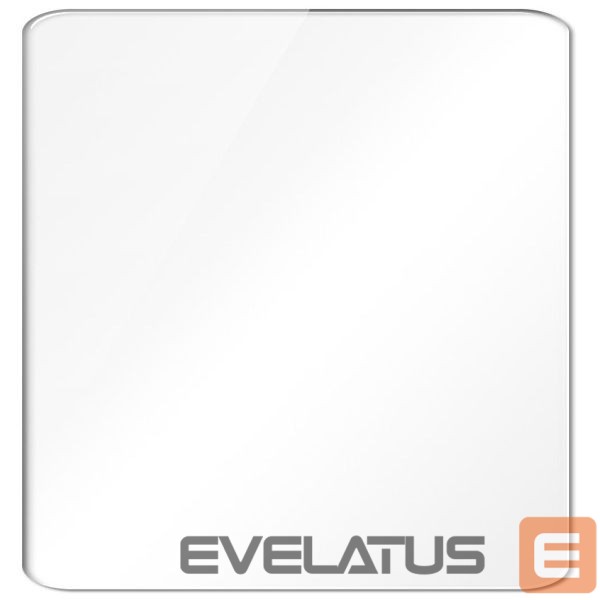 Protective glass Evelatus Huawei Honor View 20 0.33 Flat Clear Glass Japan Glue Anti-Static