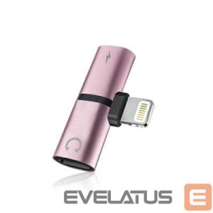 Converter N/A  Lighting-HF/Lighting Rose Gold