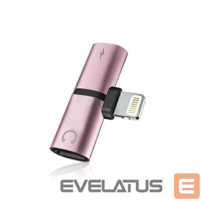 Converter N/A Lighting-HF/Lighting Rose Gold