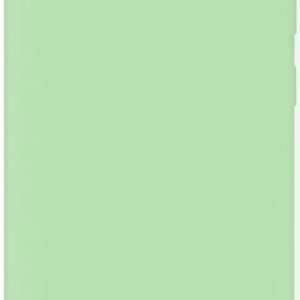 Back panel cover Evelatus Samsung Galaxy S10 Nano Silicone Case Soft Touch TPU Mint