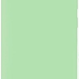 Back panel cover Evelatus Samsung Galaxy S10+ Nano Silicone Case Soft Touch TPU Mint