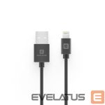 Cable Evelatus  Evelatu Lightning cable 2M MFI07 Black