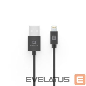 Cable Evelatus  Evelatu Lightning cable 2M MFI07 Black