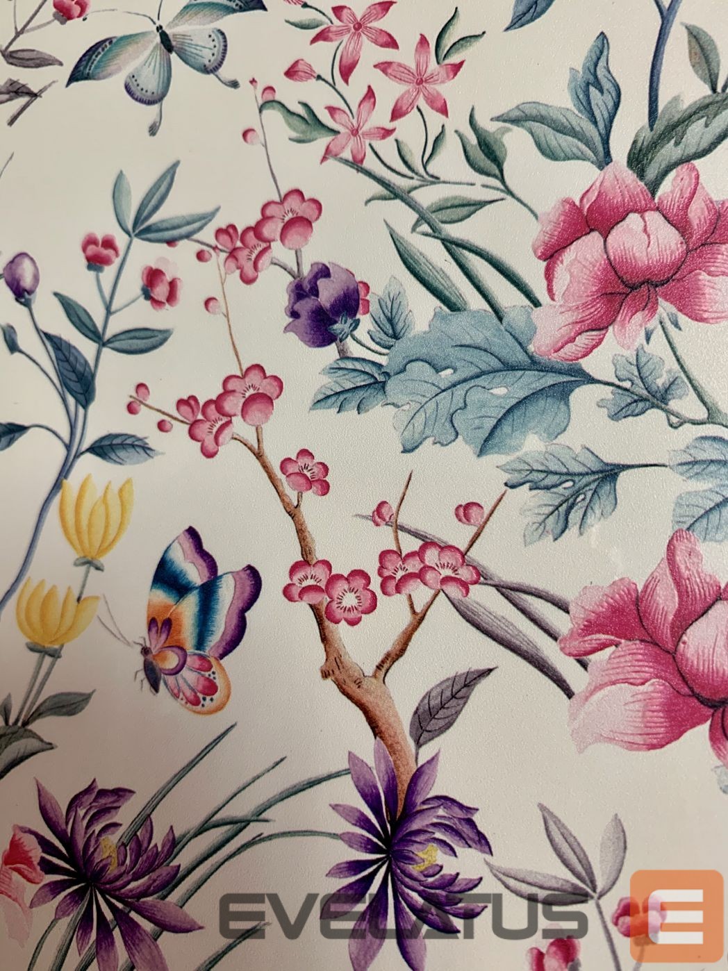 Protective film Evelatus Universal Butterfly In The Garden Colorful Film for Screen Cutter