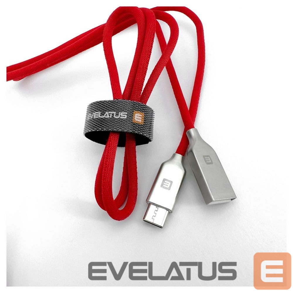 Cable Evelatus Data Cable for Type-C devices TPC06 1m Red