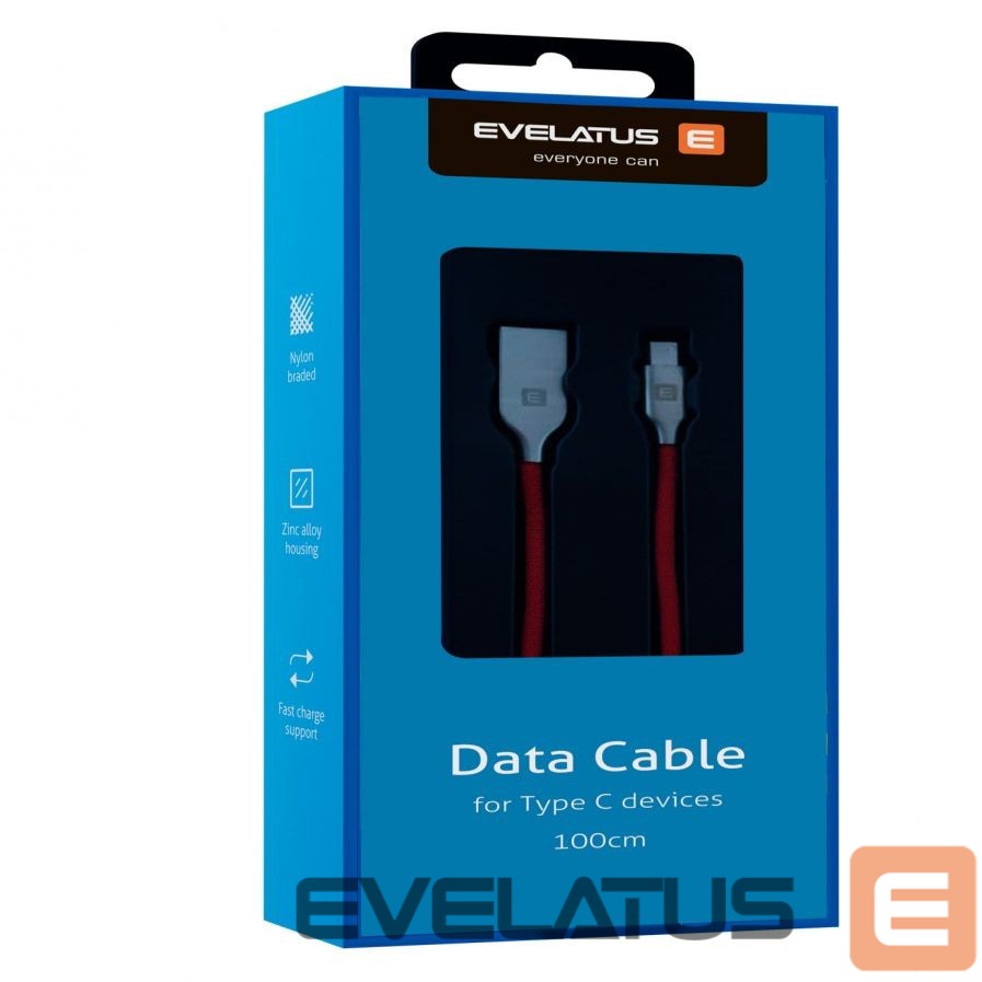 Cable Evelatus Data Cable for Type-C devices TPC06 1m Red