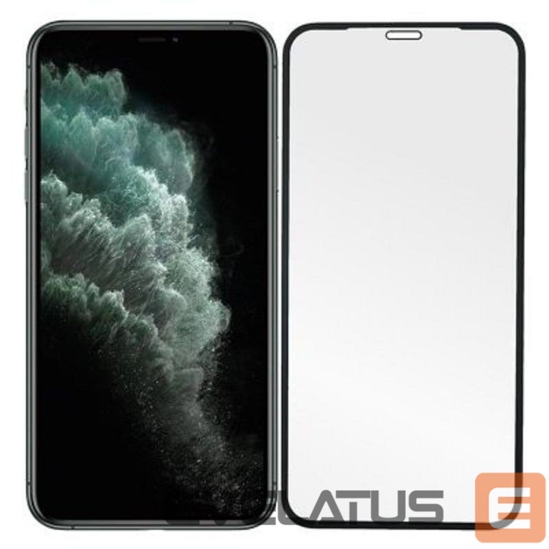 Protective glass Evelatus Apple iPhone 12 mini Privacy 2.5D Silk Full Cover Japan Glue Anti-Static