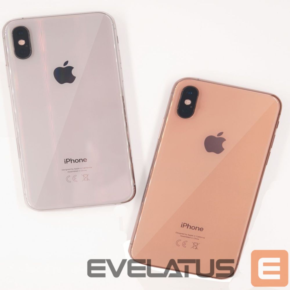 Protective film Evelatus Universal Matte Explosion-proof film for cutter