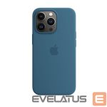 Back panel cover iLike Apple iPhone 13 Pro 6.1' Matt TPU case Navy Blue