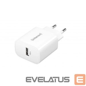 Adapter Intenso  POWER ADAPTER USB-A/7800512 