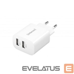 Adapter Intenso  POWER ADAPTER 2x USB-A/7802412 