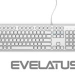 Computer keyboard Dell  KB216 Multimedia, Wired, EN, USB, White 