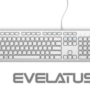 Computer keyboard Dell  KB216 Multimedia, Wired, EN, USB, White 