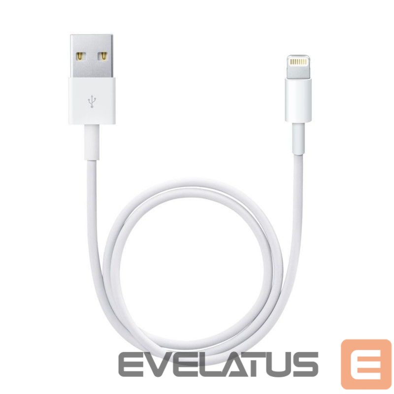 Cable Apple Lightning to USB Cable 1m Model A1480