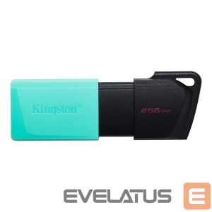 Flash drive Kingston  USB Flash Drive DataTraveler Exodia 256 GB, USB 3.2 Gen 1, Black/Teal 