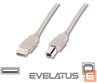 Cable Logilink USB 2.0 connection cable USB A male, USB B male, 3 m, Black