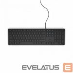 Computer keyboard Dell  KB216 Standard, Wired, Chiclet style, RU, Black, Numeric keypad, 503 g 