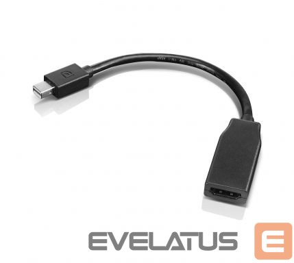 Converter Lenovo mini-DisplayPort to HDMI Black, Adapter