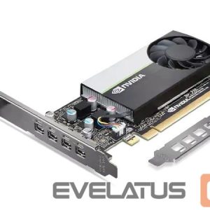 Graphic card / Video cards Lenovo  Graphics Card   T1000 NVIDIA, 8 GB, T1000, GDDR6, PCIe 3.0 x 16 