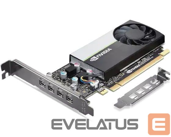 Graphic card / Video cards Lenovo Graphics Card T1000 NVIDIA, 8 GB, T1000, GDDR6, PCIe 3.0 x 16