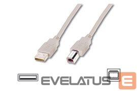 Cable Logilink  USB 2.0 connection cable USB  A male, USB B male, 5 m, Grey