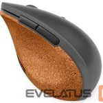 Computer mouse Lenovo  Go Wireless Vertical Mouse Wireless optical, Storm grey with natural cork, USB-A, 1 x AA batteries (included) 