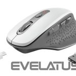 Computer mouse Trust  MOUSE USB OPTICAL WRL/OZAA WHITE 24035 