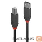 Cable LINDY  CABLE USB2 A-B 10M/ANTHRA 36677 