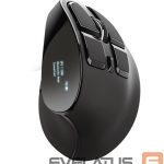 Computer mouse Trust  MOUSE USB OPTICAL ERGONOMIC/VOXX 23731 