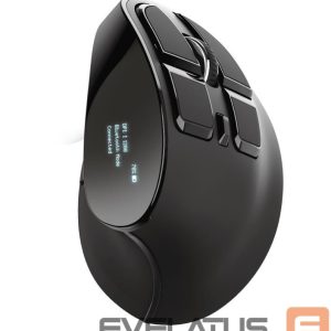 Computer mouse Trust  MOUSE USB OPTICAL ERGONOMIC/VOXX 23731 
