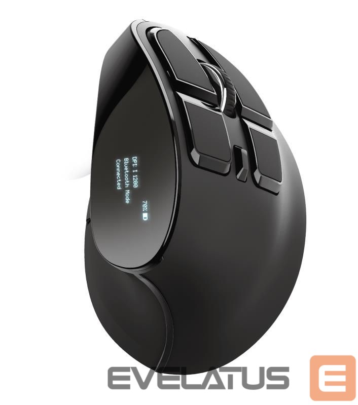 Computer mouse Trust MOUSE USB OPTICAL ERGONOMIC/VOXX 23731