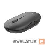 Computer mouse Trust  MOUSE USB OPTICAL WRL/PUCK RECHARGEABLE 24059 