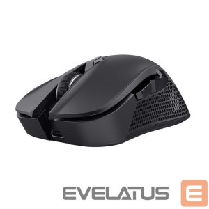 Computer mouse Trust  MOUSE USB OPTICAL WRL YBAR/GTX923 24888 