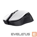 Computer mouse Trust  MOUSE USB OPTICAL WRL YBAR/GTX923W 24889 