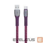 Cable RIVACASE  CABLE USB-C TO USB2 1.2M/RED PS6102 RD12 