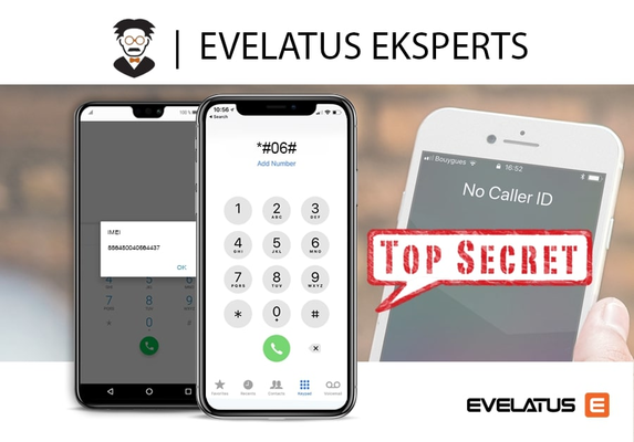Evelatus Expert!