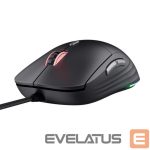Computer mouse Trust  MOUSE USB OPTICAL LIGHTWEIGHT/GXT925 REDEX II 25125 