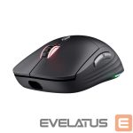 Computer mouse Trust  MOUSE USB OPTICAL WRL GXT926/REDEX II 25126 