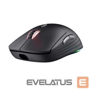 Computer mouse Trust  MOUSE USB OPTICAL WRL GXT926/REDEX II 25126 