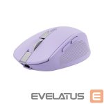 Computer mouse Trust  MOUSE USB OPTICAL WRL OZAA/PURPLE 25384 