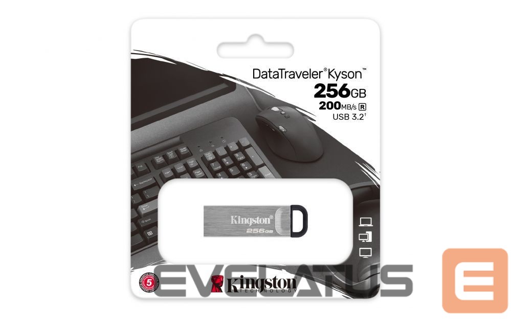 Flash drive Kingston USB Flash Drive DataTraveler Kyson 256 GB, Type-A USB 3.2 Gen 1, Silver