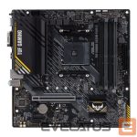 Motherboard for Intel processors Asus  TUF GAMING A520M-PLUS II Processor family AMD, Processor socket AM4, DDR4 DIMM, Memory slots 4, Supported hard disk drive interfaces 	SATA, M.2, Number of SATA connectors 4, Chipset  AMD A520, Micro ATX 
