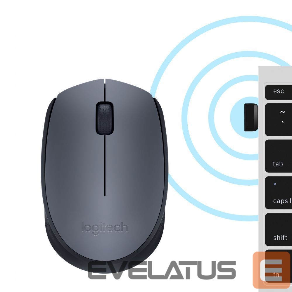 Computer mouse Logitech M170 Wireless Mouse, Black, Grey