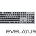Computer keyboard Asus  W5000 KEYBOARD+MOUSE/GY/UI/90XB0430-BKM1S0/WIN11 