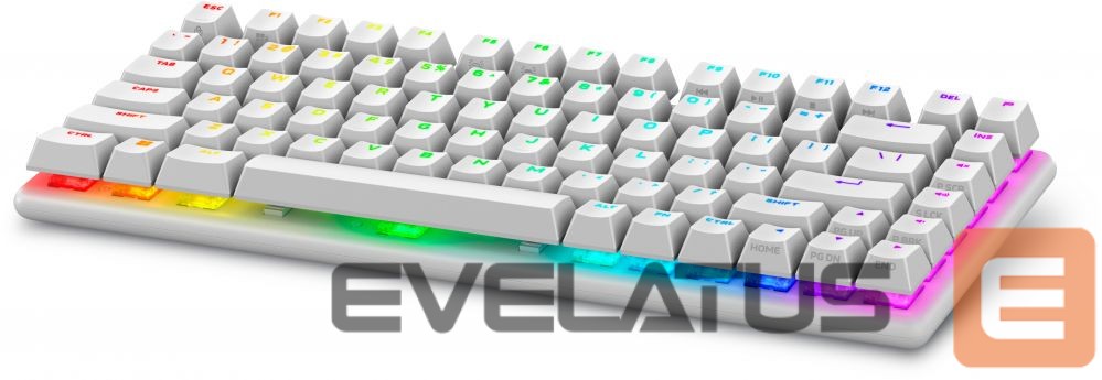 Computer keyboard Dell 545-BBFR Alienware Pro Gaming Keyboard Wireless US Alienware Linear Mechanical Lunar Light Bluetooth